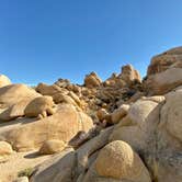 Review photo of Jumbo Rocks Campground — Joshua Tree National Park by Kristen , January 16, 2020