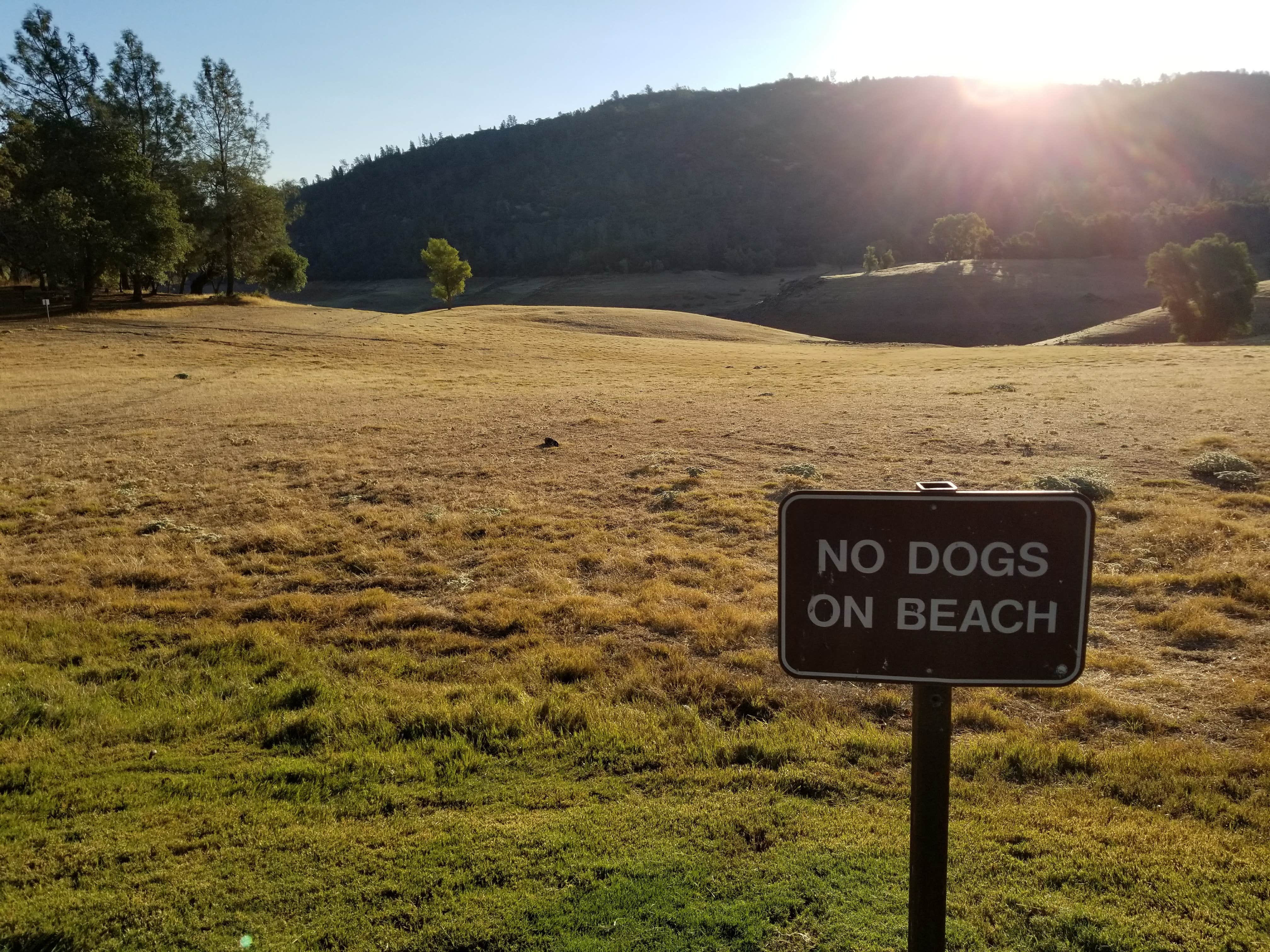 Camper-submitted photo at Bidwell Canyon Campground — Lake Oroville State Recreation Area near Gridley, CA