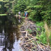 Review photo of Pine Lake Campsite by Steph H., August 28, 2017