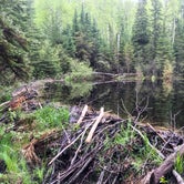 Review photo of Pine Lake Campsite by Steph H., August 28, 2017
