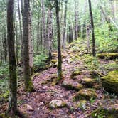 Review photo of Pine Lake Campsite by Steph H., August 28, 2017