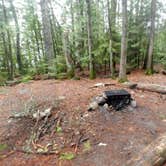 Review photo of Pine Lake Campsite by Steph H., August 28, 2017