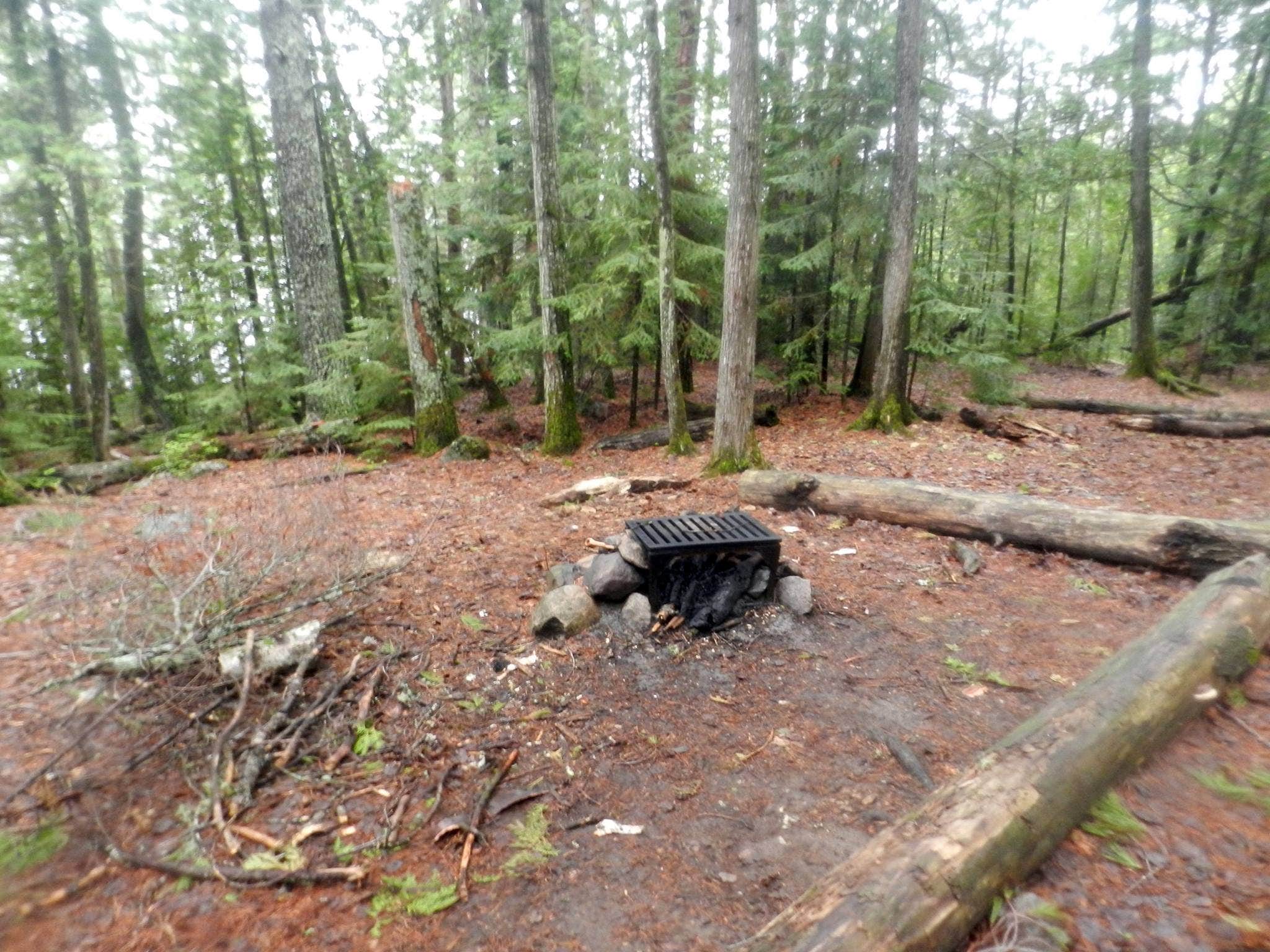 Camper submitted image from Pine Lake Campsite - 4