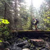 Review photo of Clearwater Lake West Campsite by Steph H., August 28, 2017