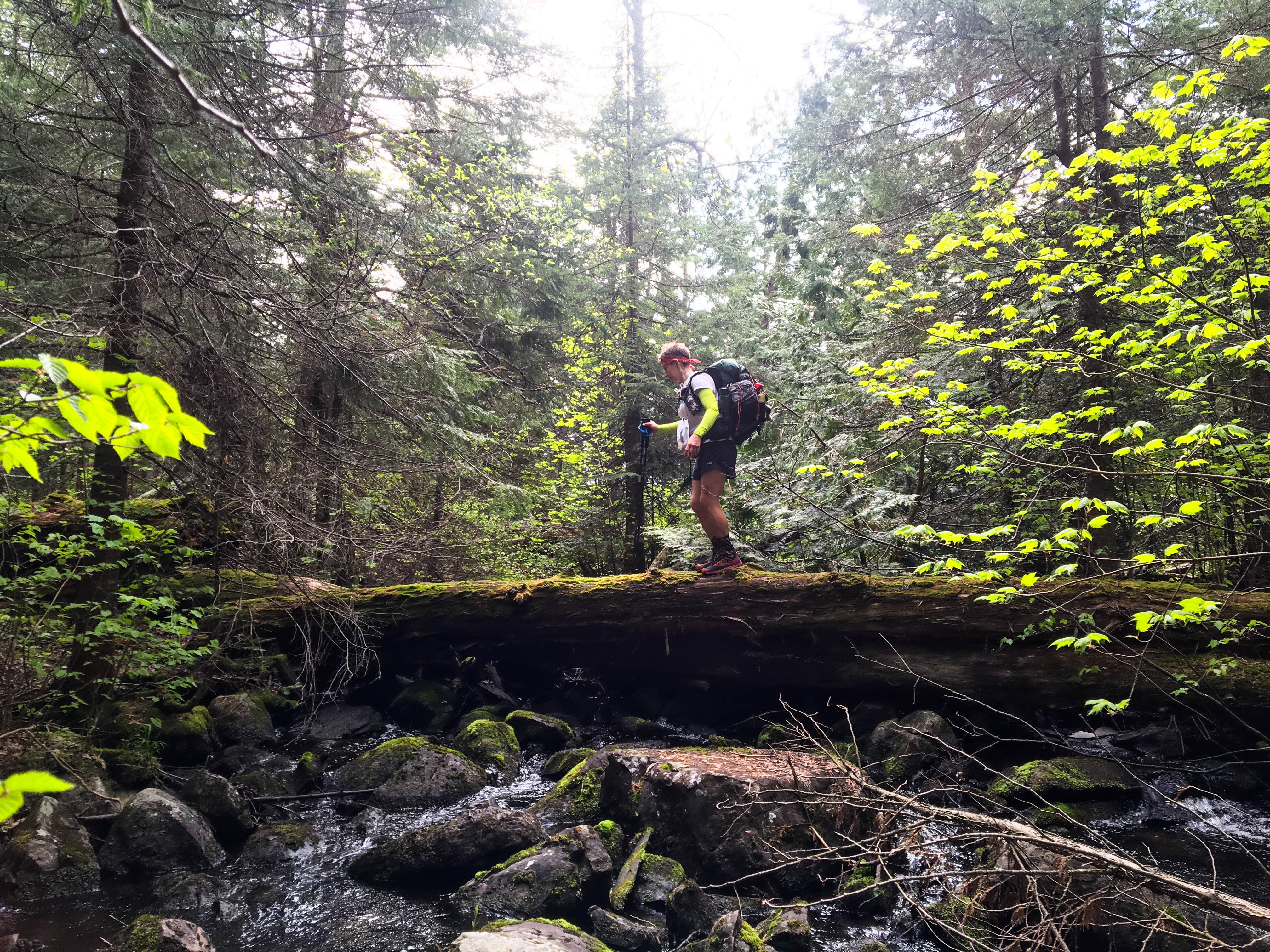 Camper submitted image from Clearwater Lake West Campsite - 2