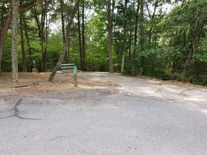 Camper submitted image from War Eagle Campground - 4