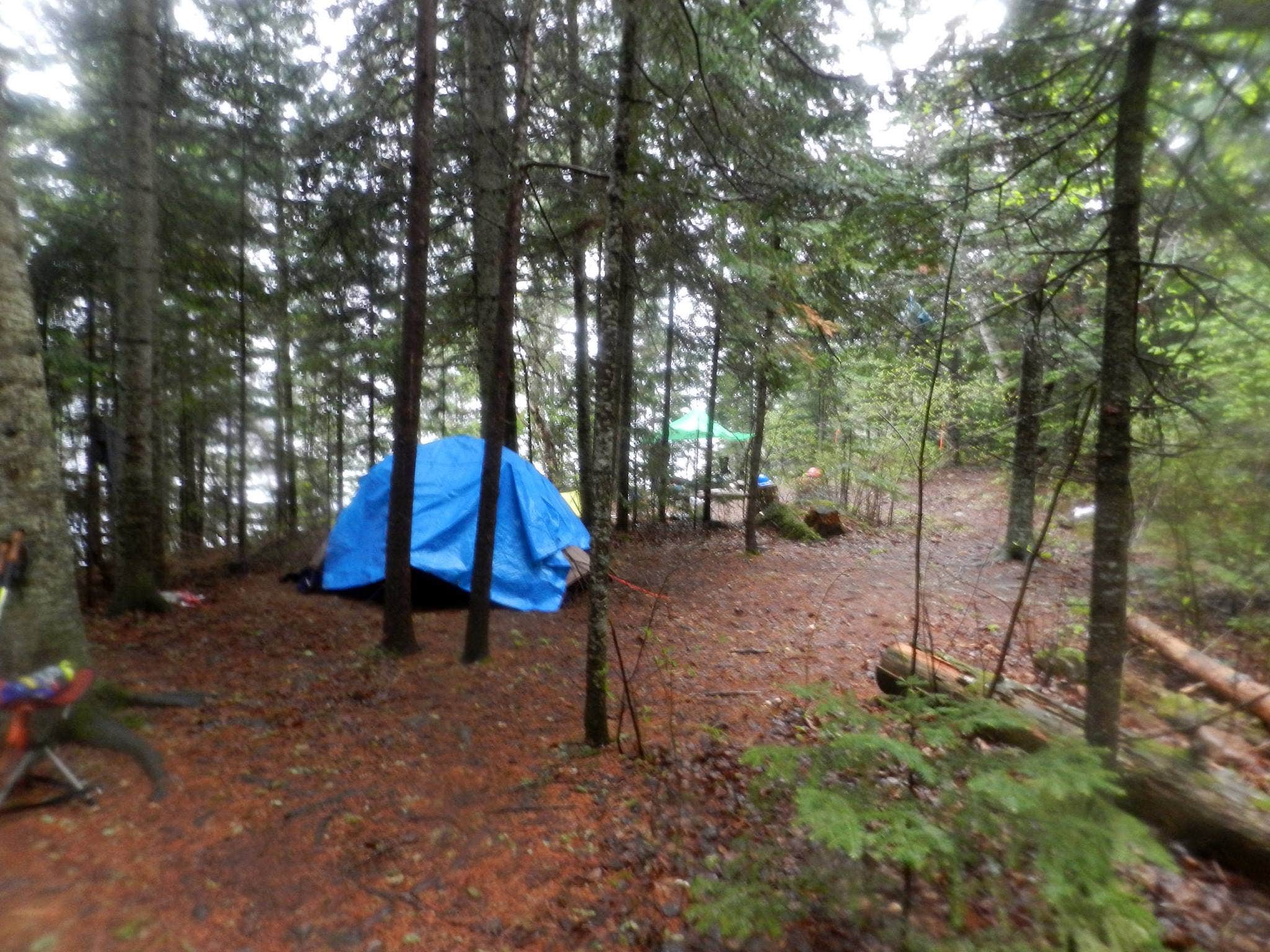Steph H.'s photo of tent camping at Clearwater Lake West Campsite near Grand Marais, MN