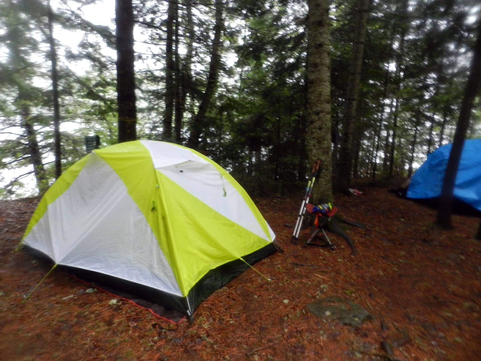 Camper submitted image from Clearwater Lake West Campsite - 1