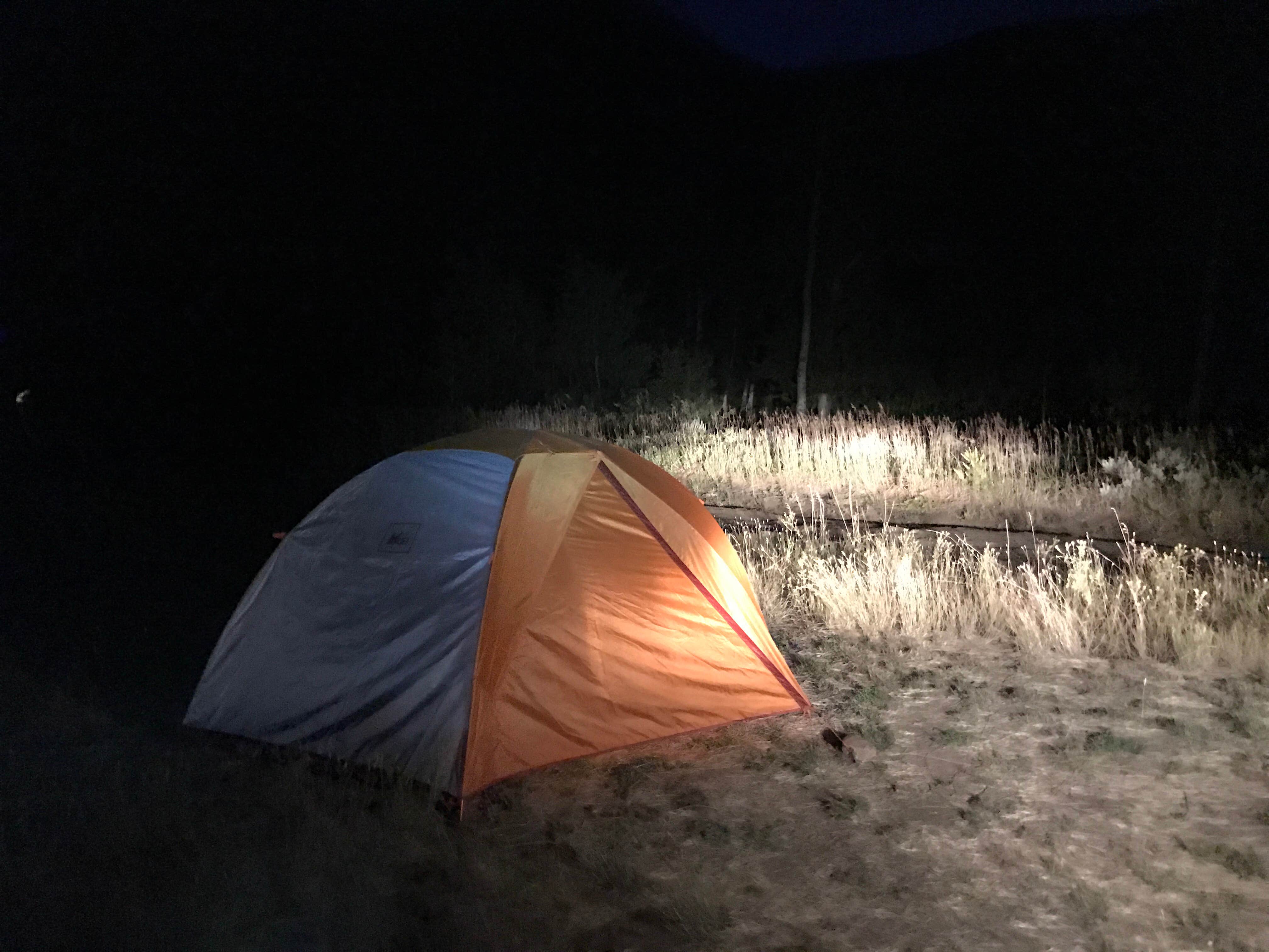 Camper submitted image from Hugh Otte Camping Area - 3