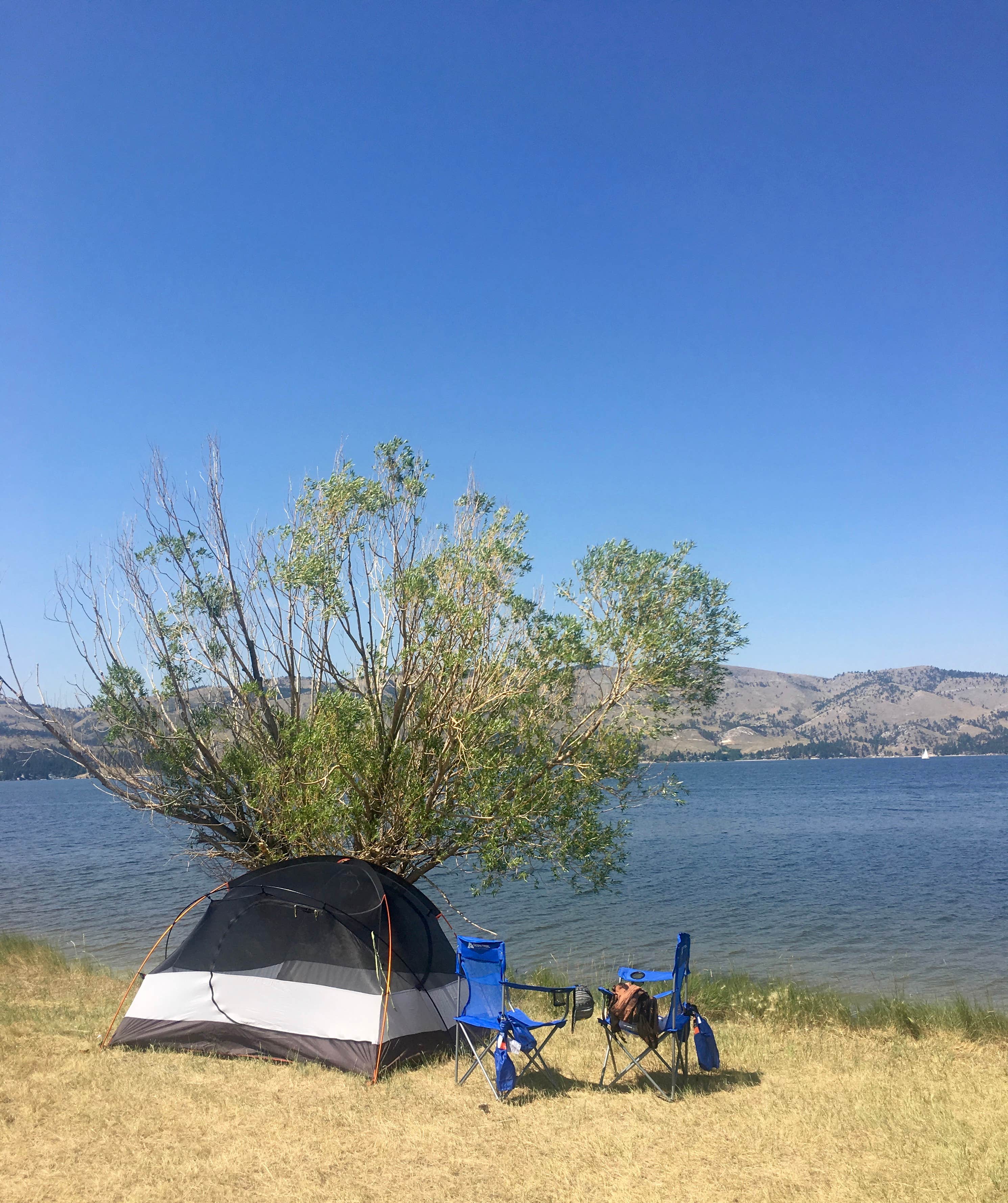 Camper submitted image from Hellgate Campground - 5