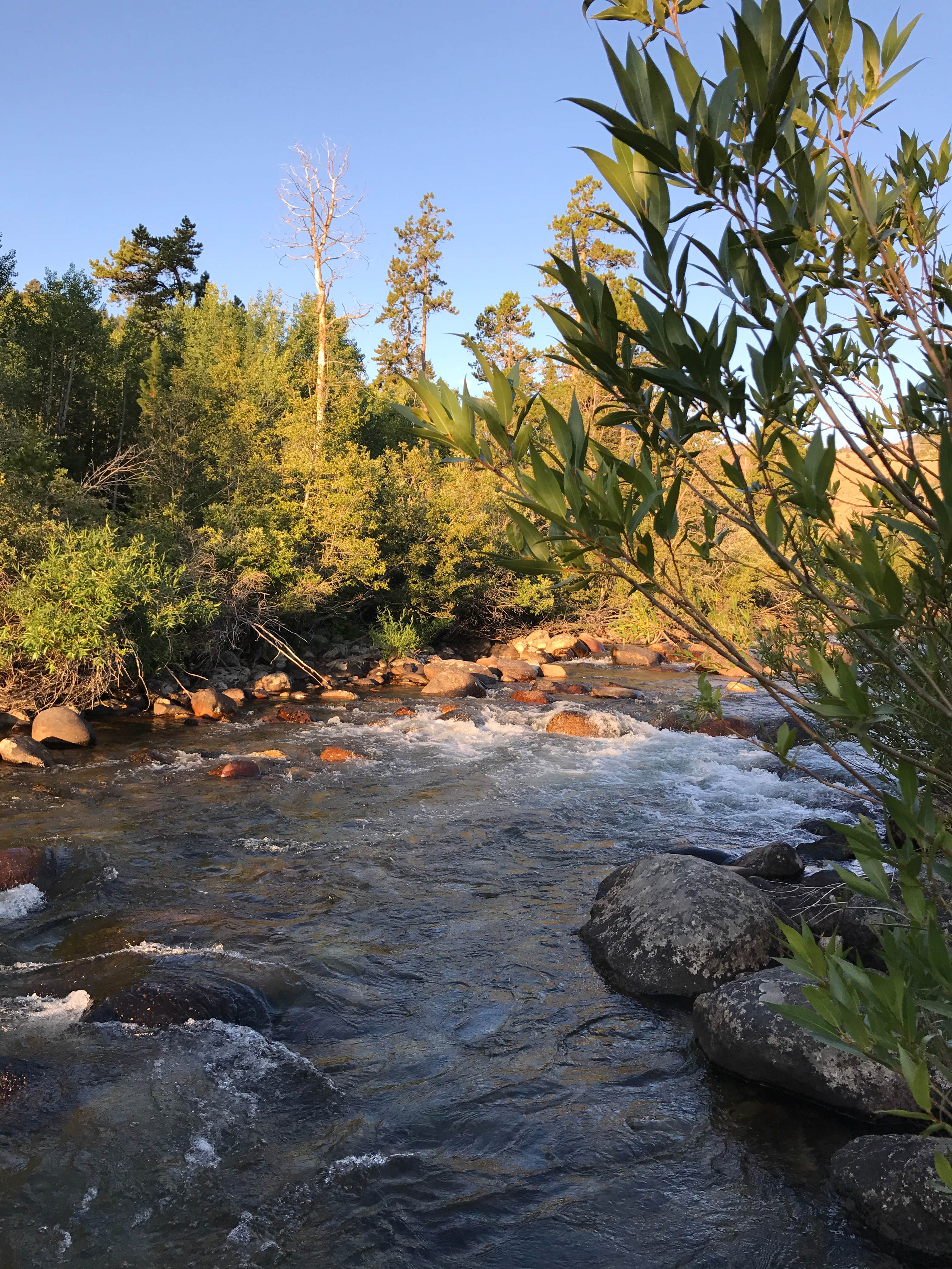Camper submitted image from Hugh Otte Camping Area - 3