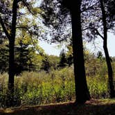 Review photo of O'Bannon Woods State Park Campground by Bryana D., August 28, 2017
