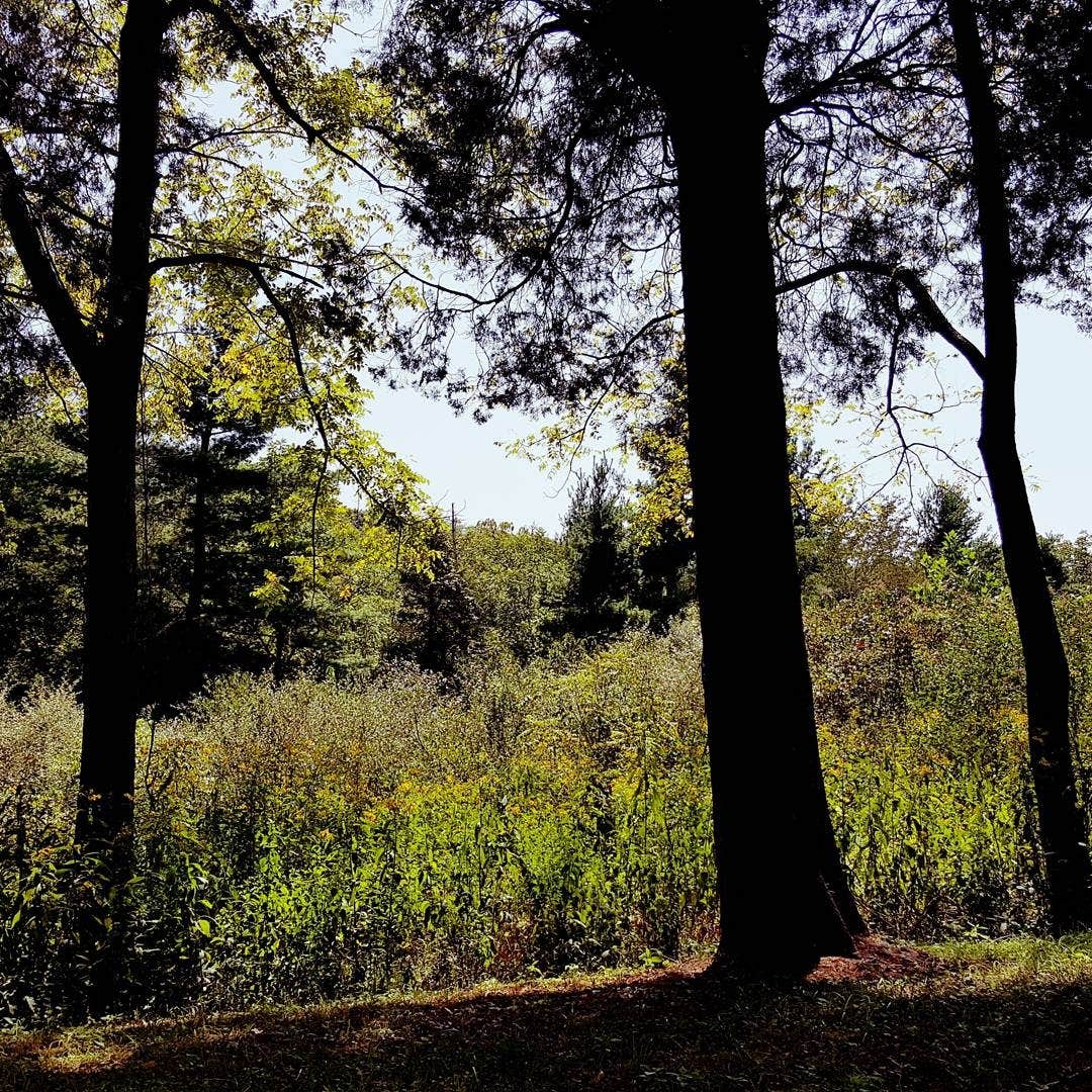 Camper submitted image from O'Bannon Woods State Park Campground - 2