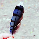 Review photo of Charlestown State Park Campground by Bryana D., August 28, 2017