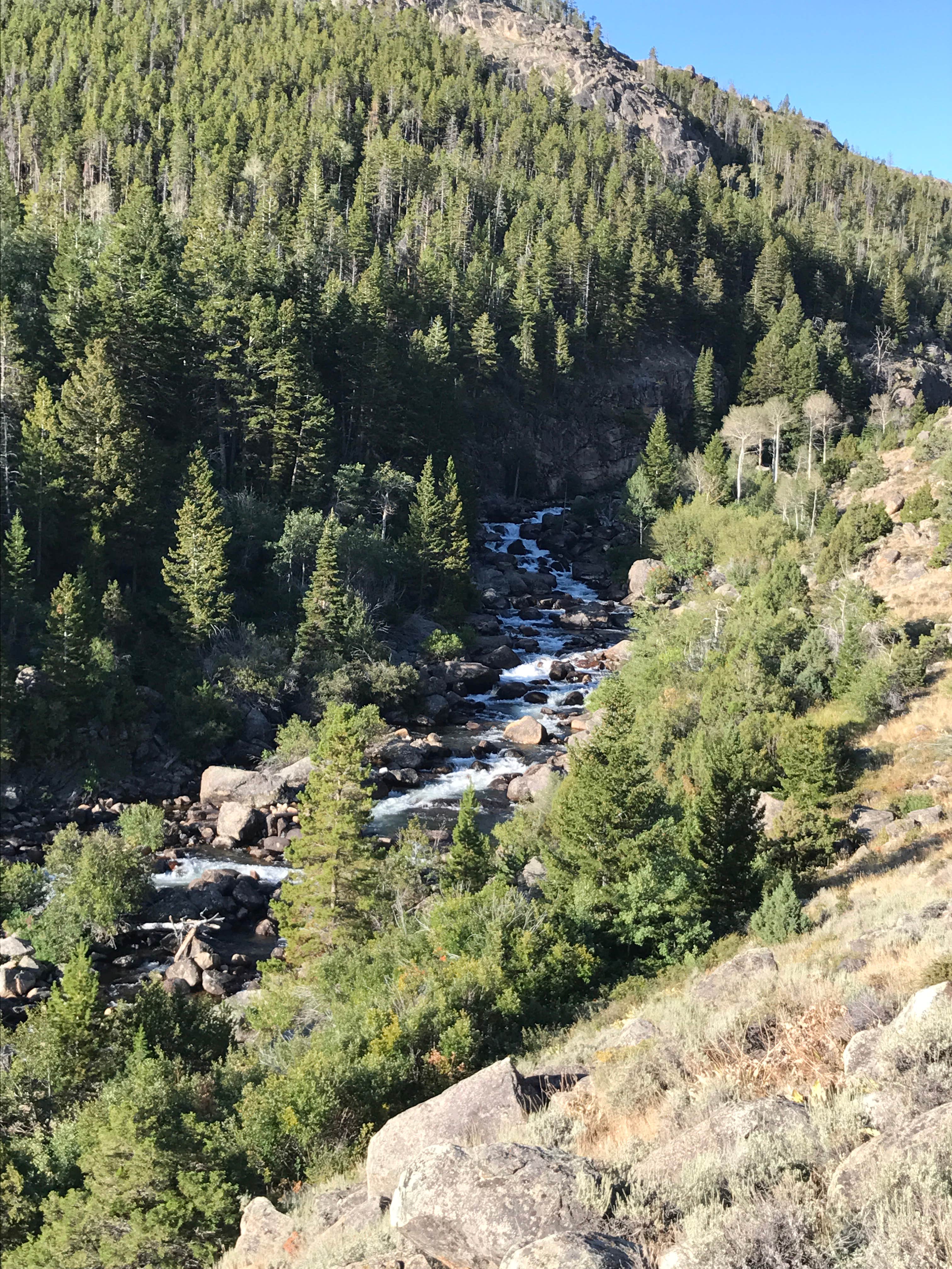 Camper submitted image from Hugh Otte Camping Area - 1