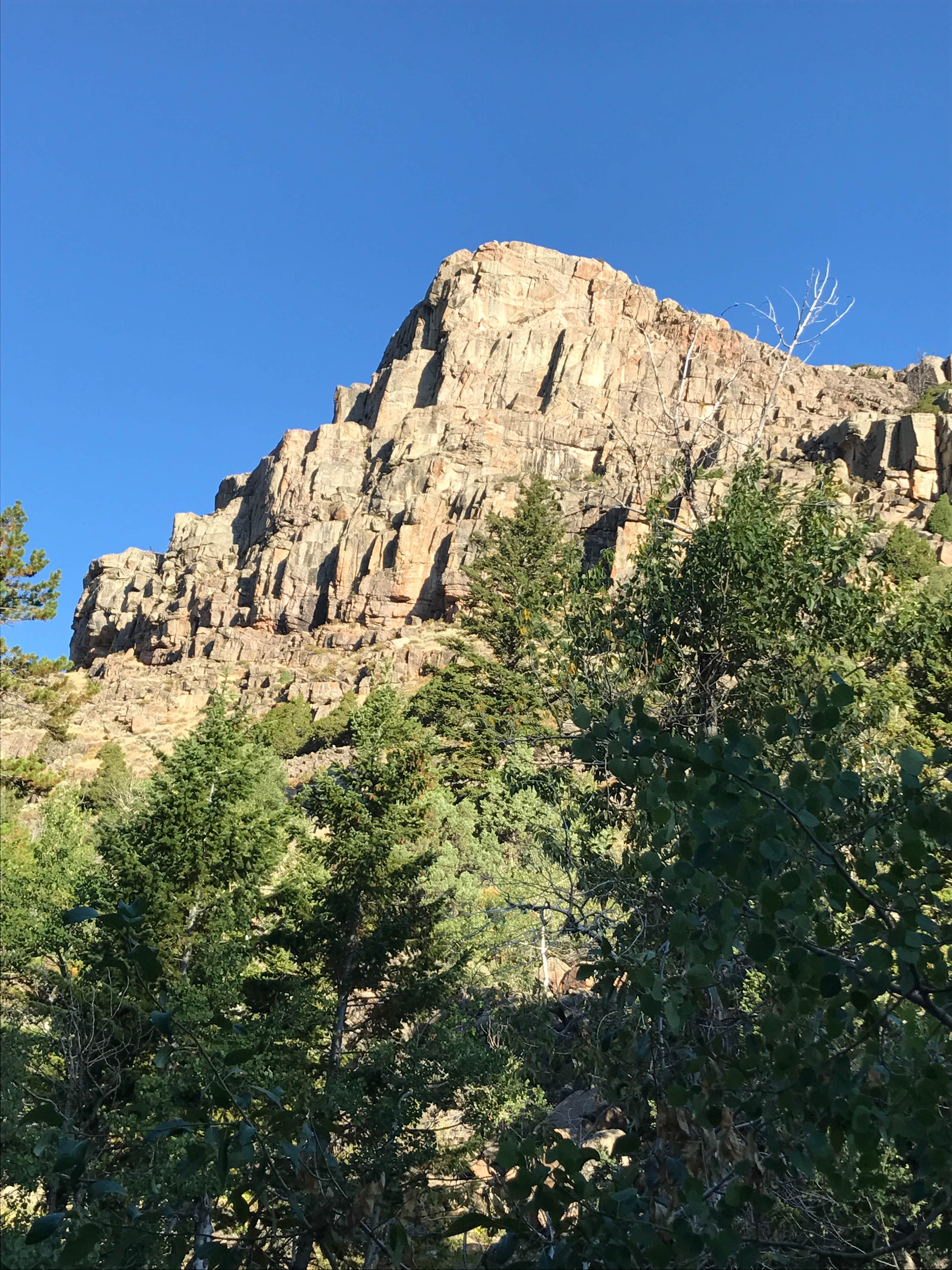 View All
