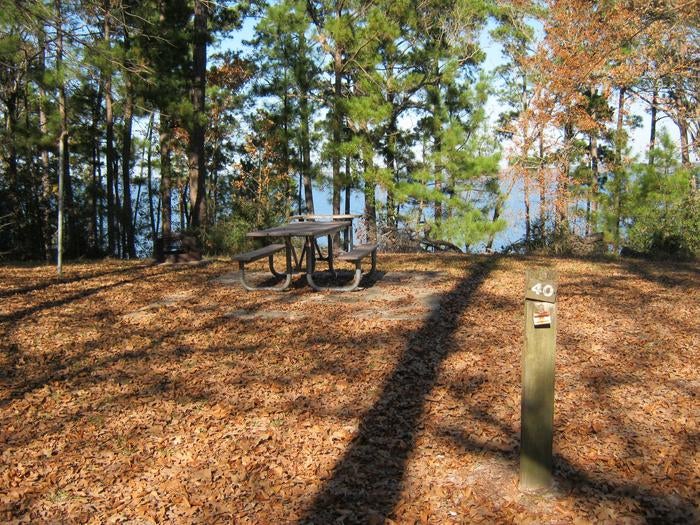 Camper submitted image from COE Sam Rayburn Reservoir Twin Dikes Park - 5