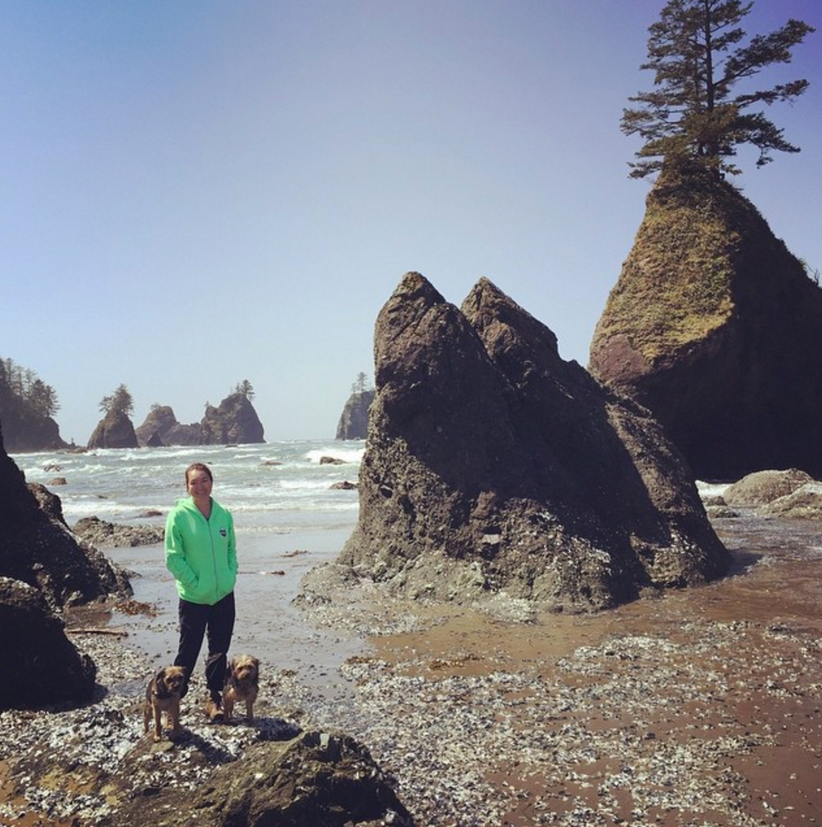 Camper-submitted photo at Shi Shi Beach — Olympic National Park near Neah Bay, WA