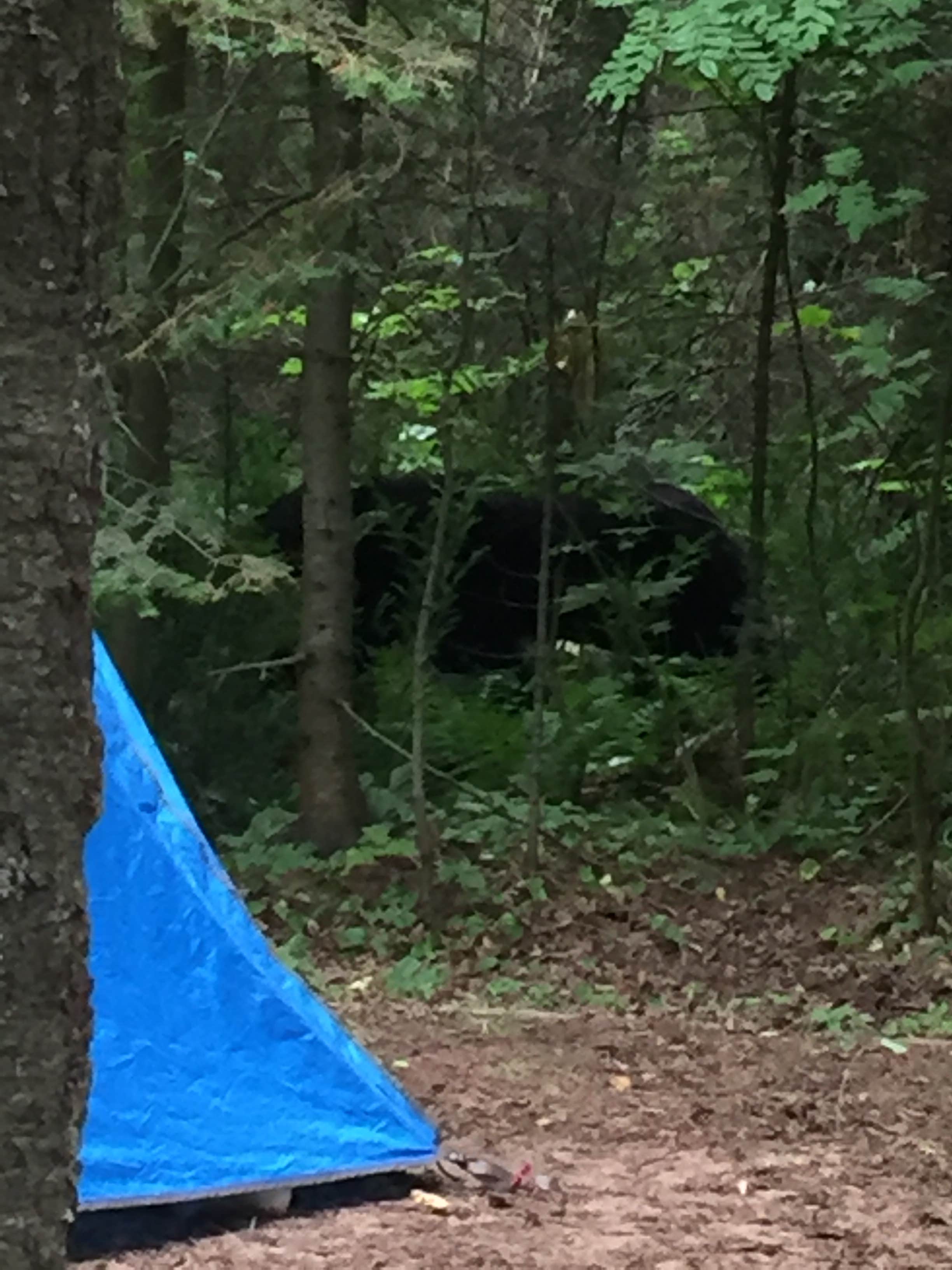James B.'s photo at Apostle Islands Area RV park and Camping near Ashland, WI