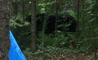 James B.'s photo at Apostle Islands Area RV park and Camping near Ashland, WI