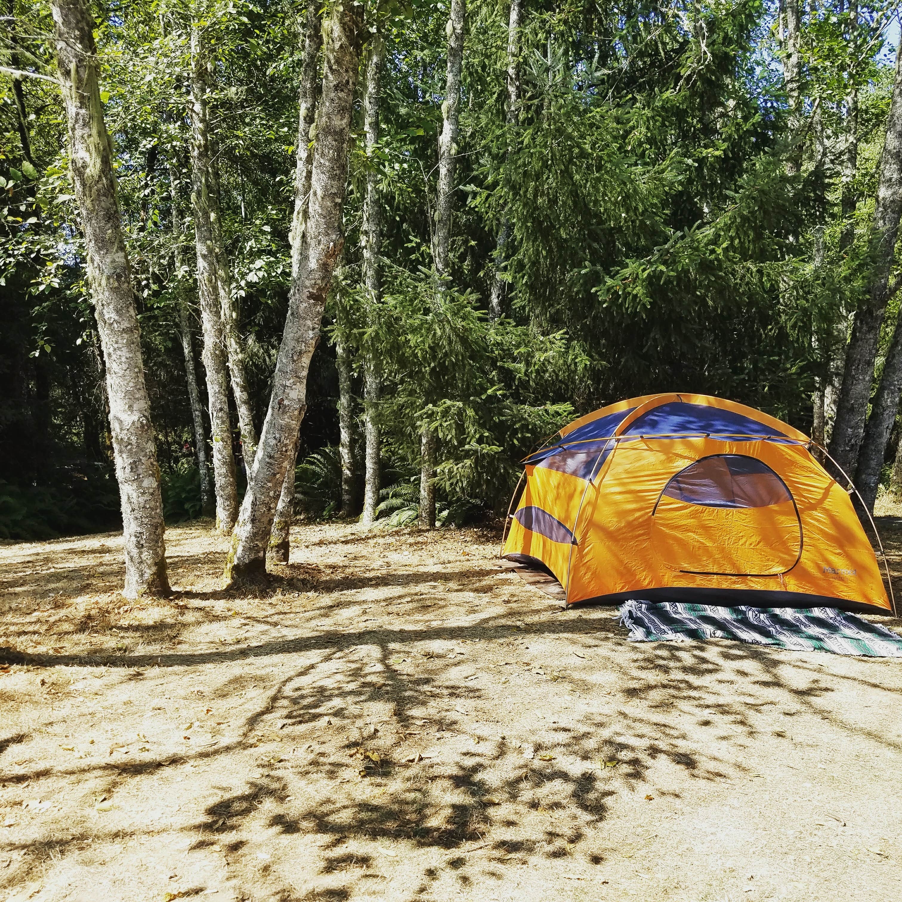 Camper submitted image from Skamokawa Vista Park - 5