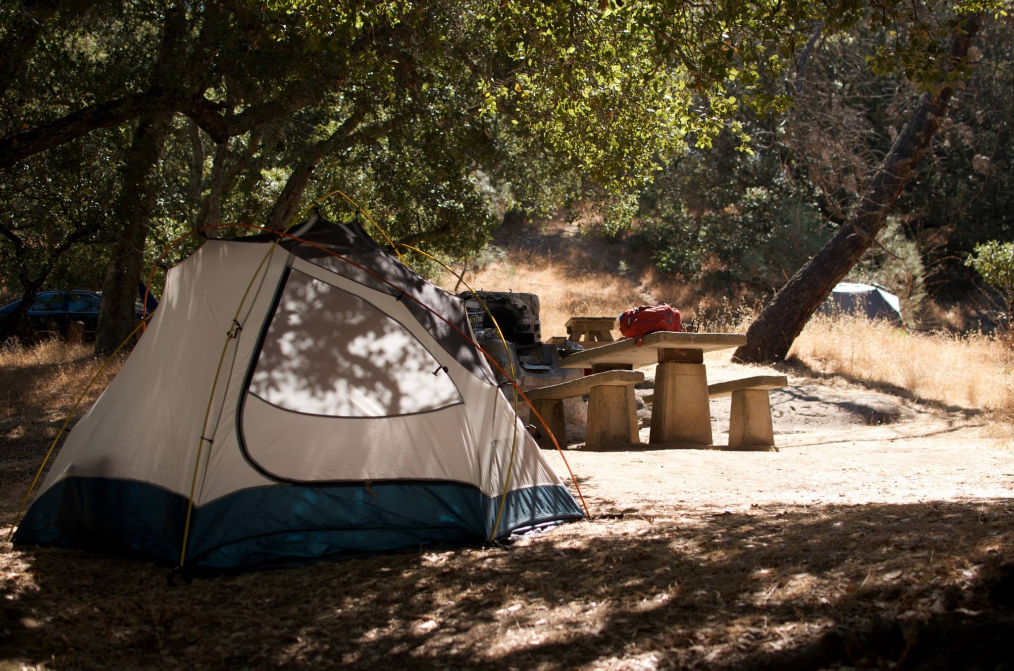 Camper submitted image from Live Oak Campground — Mount Diablo State Park Campground - 5