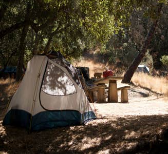 Camper-submitted photo from Live Oak Campground — Mount Diablo State Park Campground