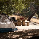 Review photo of Live Oak Campground — Mount Diablo State Park Campground by Asher K., June 29, 2016