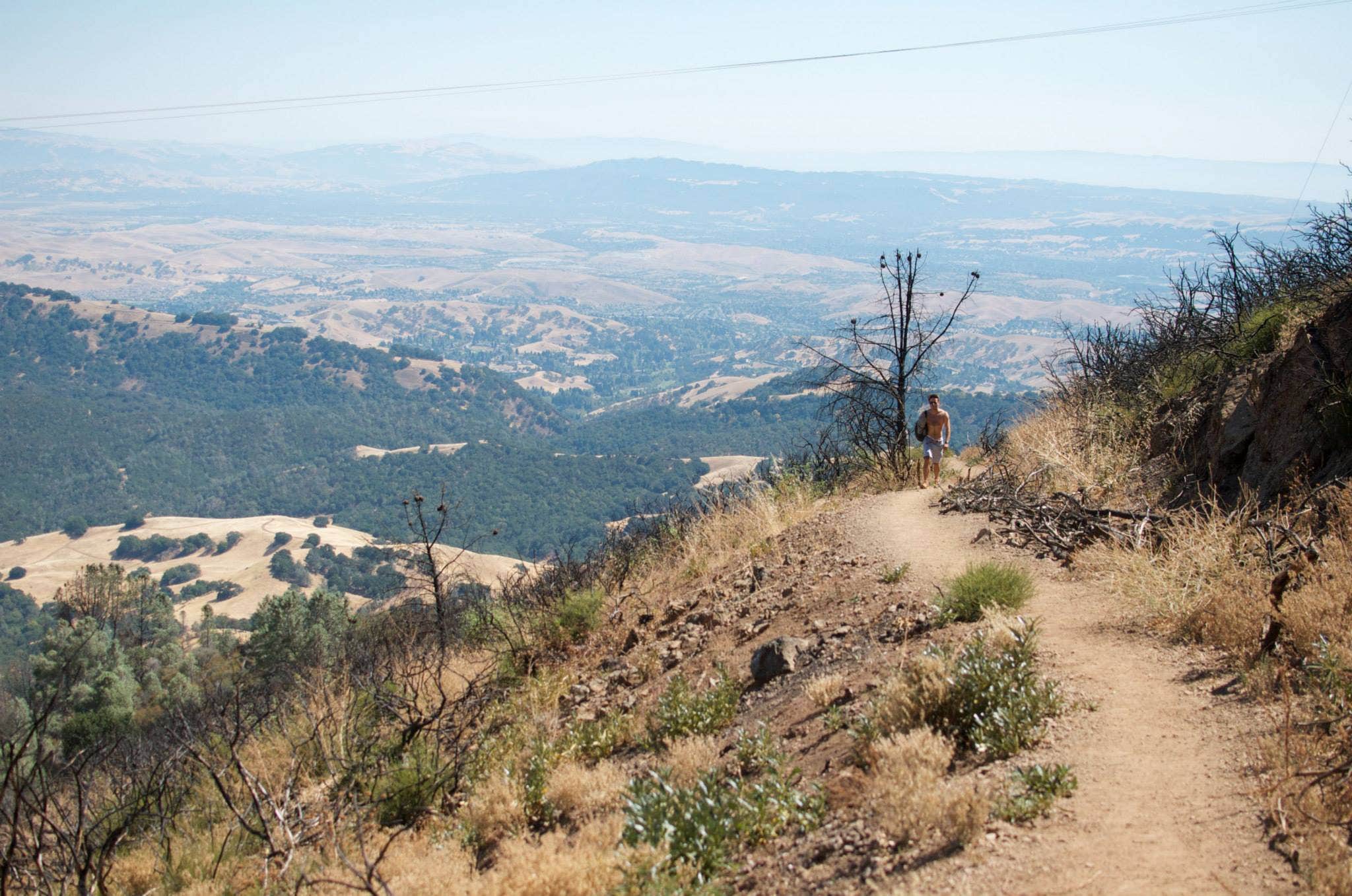 Camper submitted image from Live Oak Campground — Mount Diablo State Park Campground - 4
