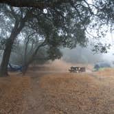 Review photo of Live Oak Campground — Mount Diablo State Park Campground by Asher K., June 29, 2016