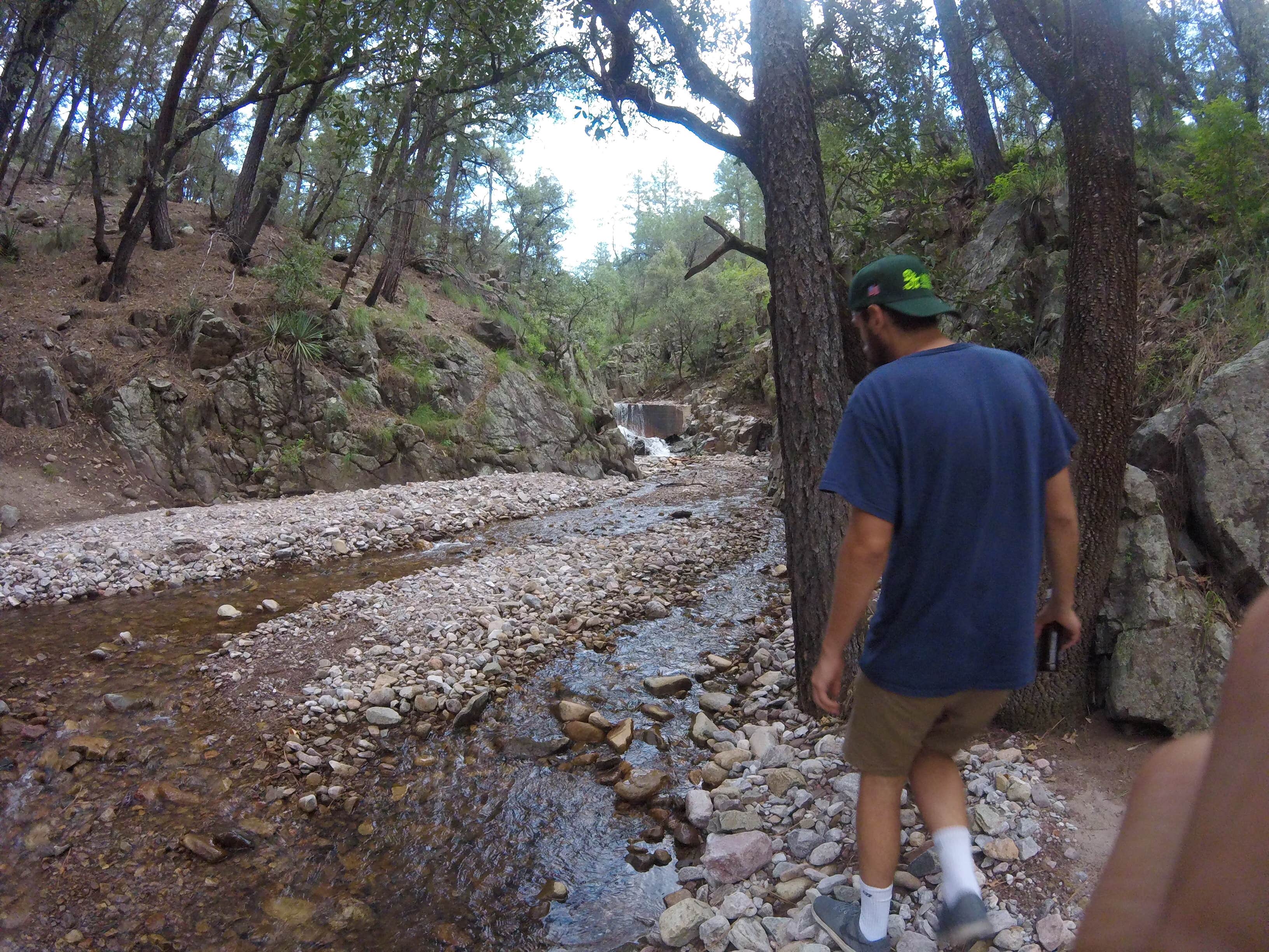 Camper-submitted photo at Sycamore Campground near Animas, NM