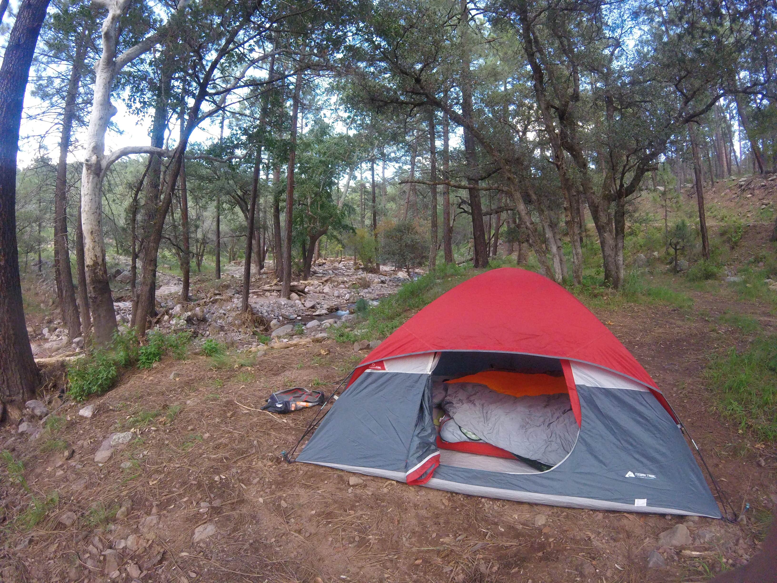 Camper-submitted photo at Sycamore Campground near Animas, NM