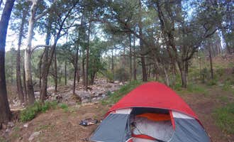 Camping near Stewart Campground: Sycamore Campground, Portal, Arizona