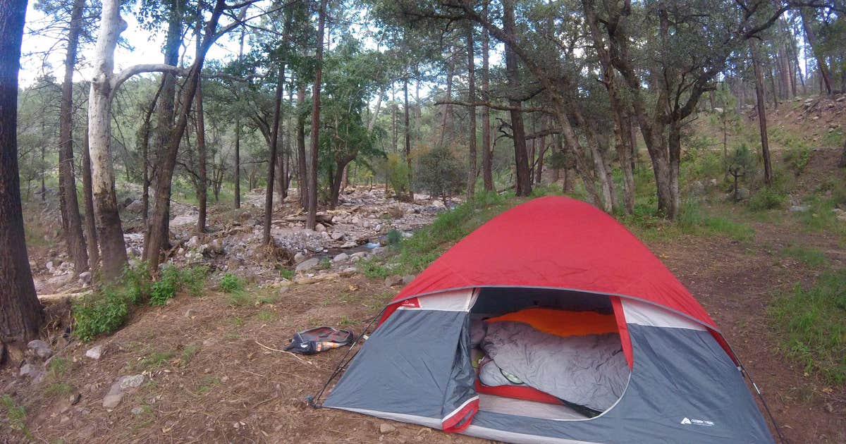 Sycamore Campground