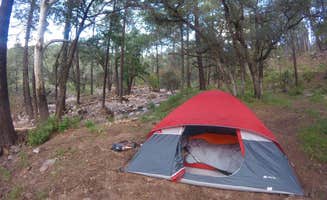 Cody B.'s photo at Sycamore Campground near Animas, NM