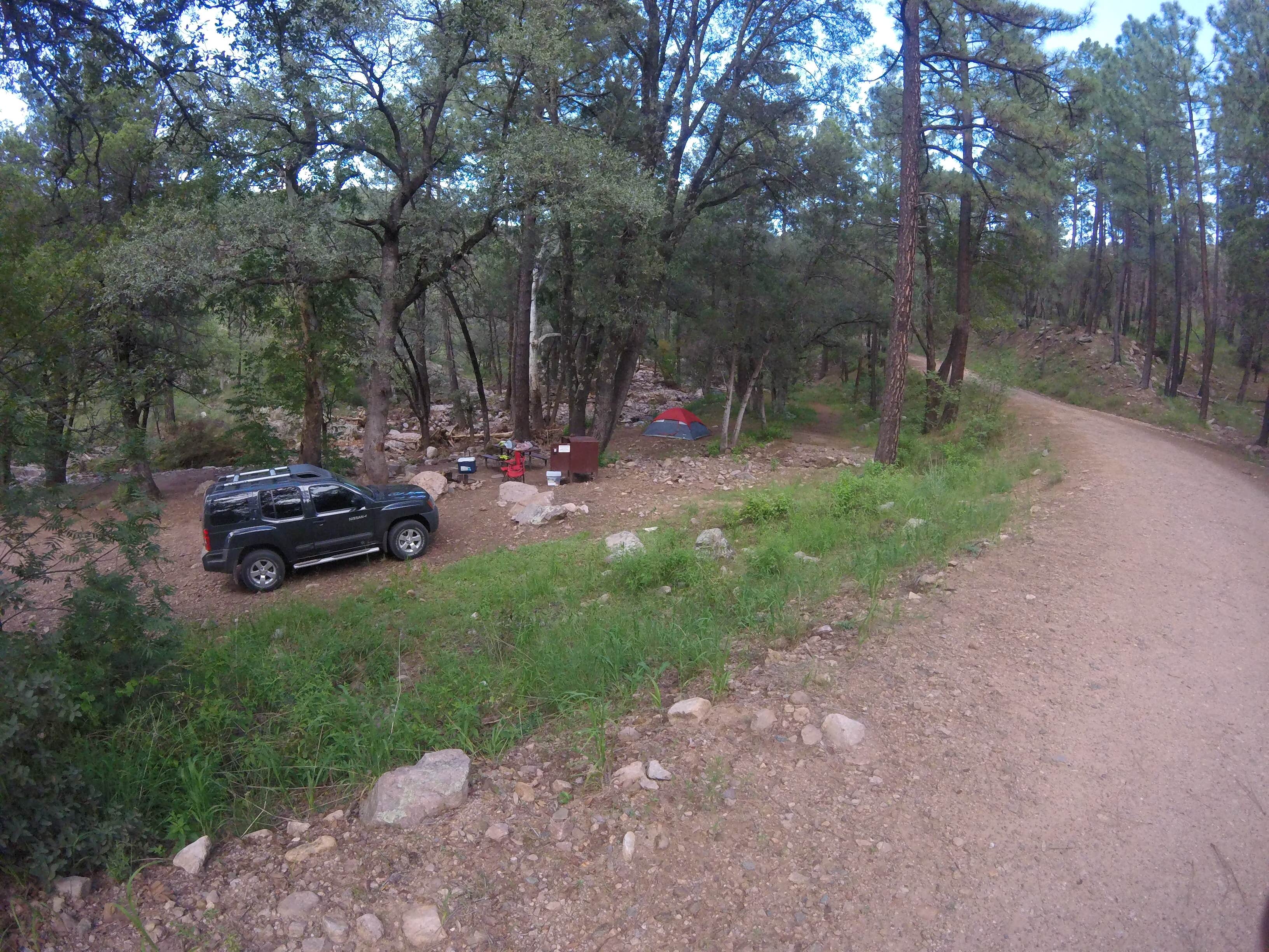 Camper-submitted photo at Sycamore Campground near Animas, NM