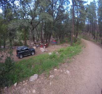 Camper-submitted photo from Rustler Park Campground