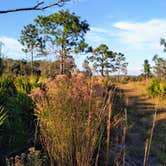 Review photo of Lake Manatee State Park Campground by Robert M., January 19, 2020