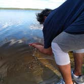 Review photo of Lake Manatee State Park Campground by Robert M., January 19, 2020