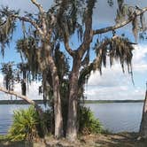 Review photo of Lake Manatee State Park Campground by Robert M., January 19, 2020