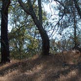 Review photo of Live Oak Campground — Mount Diablo State Park Campground by Asher K., June 29, 2016