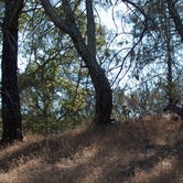 Review photo of Mount Diablo State Park Campground by Asher K., June 29, 2016