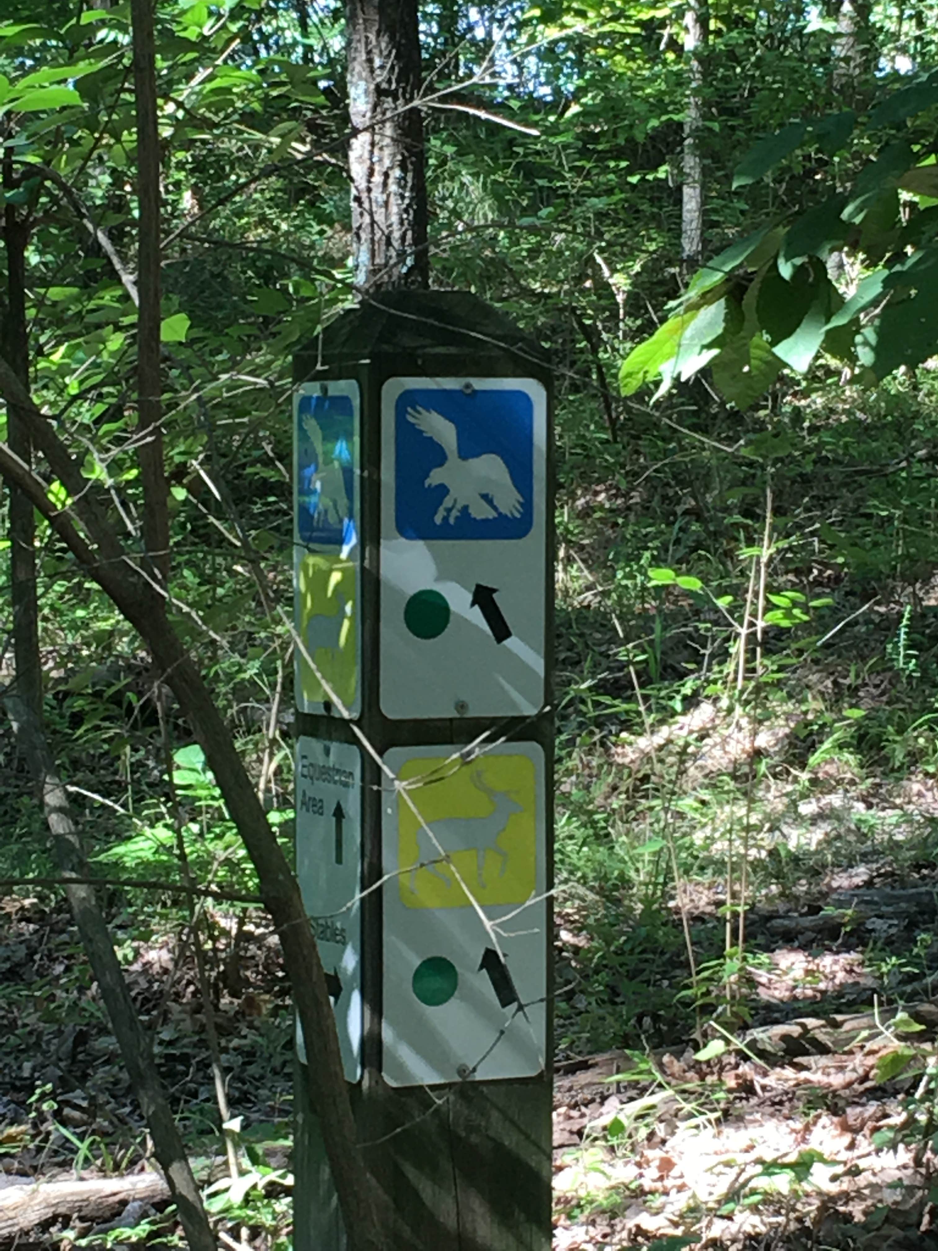 Camper submitted image from Greensfelder County Park - 2