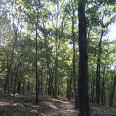 Review photo of Greensfelder County Park by Annie C., August 29, 2017