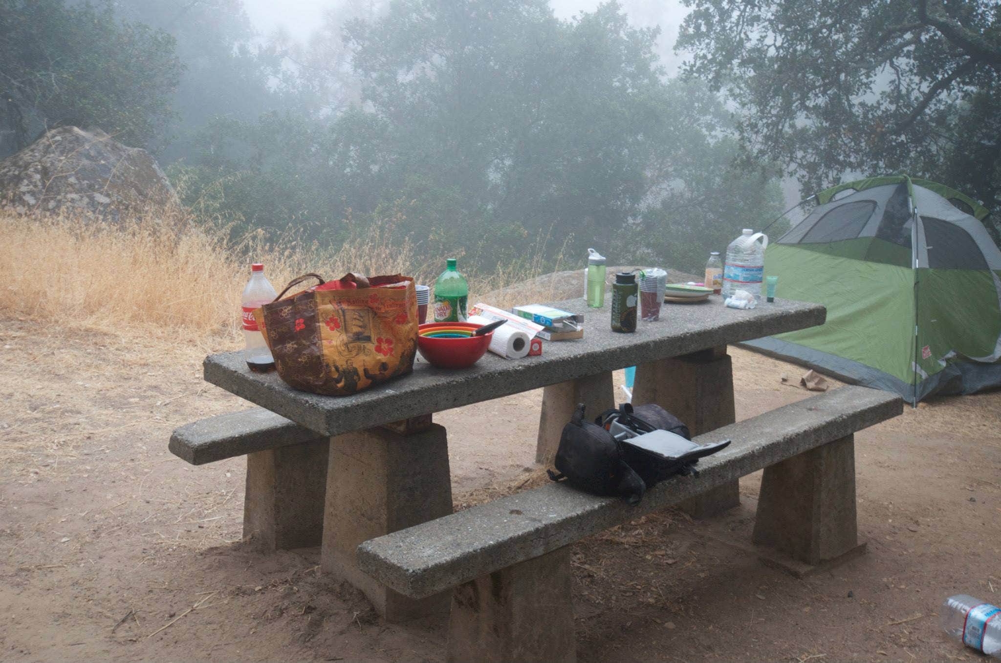 Asher K.'s photo at Live Oak Campground — Mount Diablo State Park Campground near Alamo, CA
