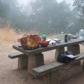 Review photo of Live Oak Campground — Mount Diablo State Park Campground by Asher K., June 29, 2016