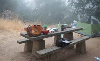 Asher K.'s photo at Live Oak Campground — Mount Diablo State Park Campground near Berkeley, CA