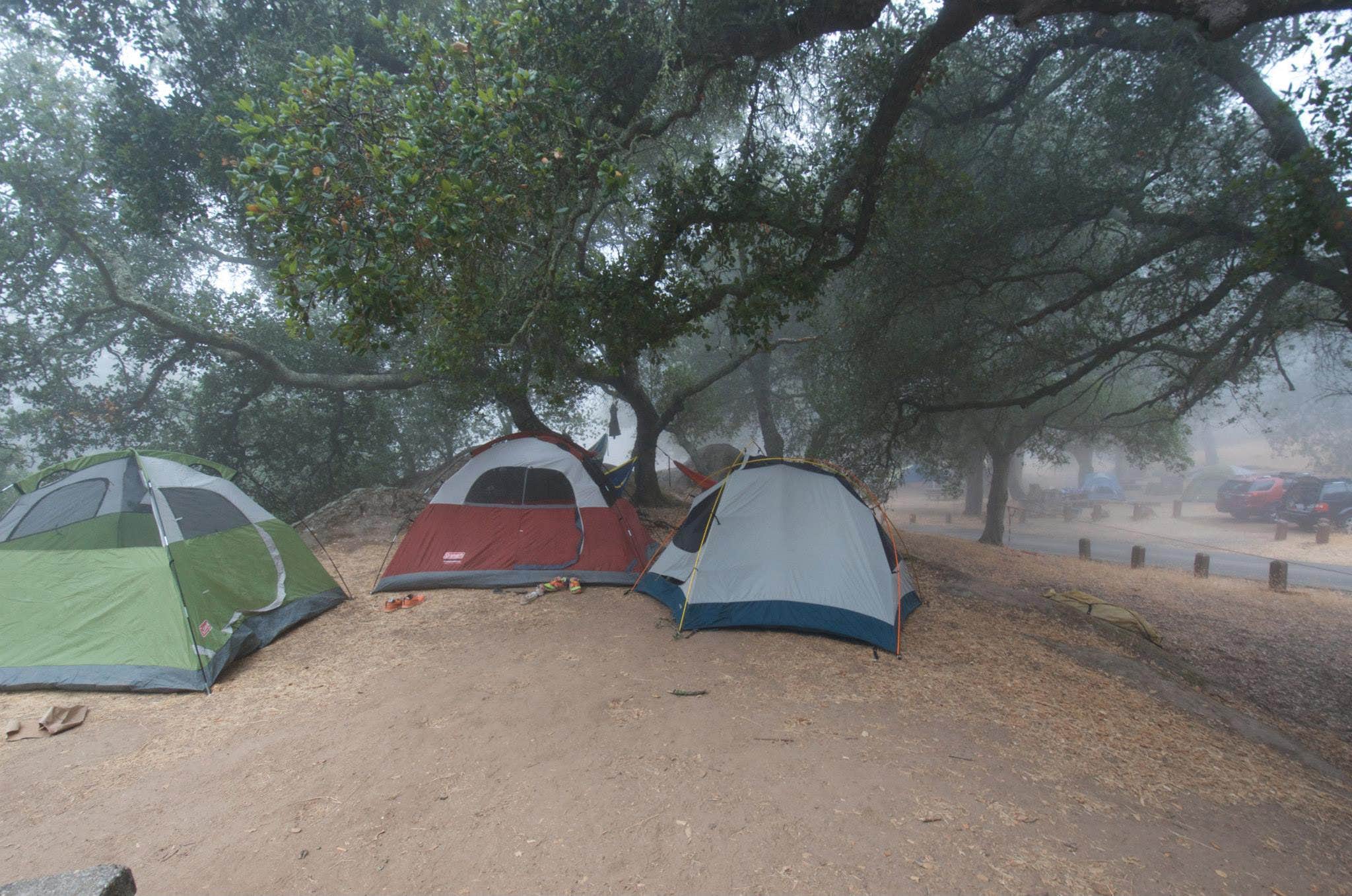 Asher K.'s photo at Live Oak Campground — Mount Diablo State Park Campground near Bay Point, CA