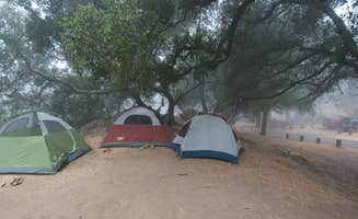 Asher K.'s photo at Live Oak Campground — Mount Diablo State Park Campground near Antioch, CA