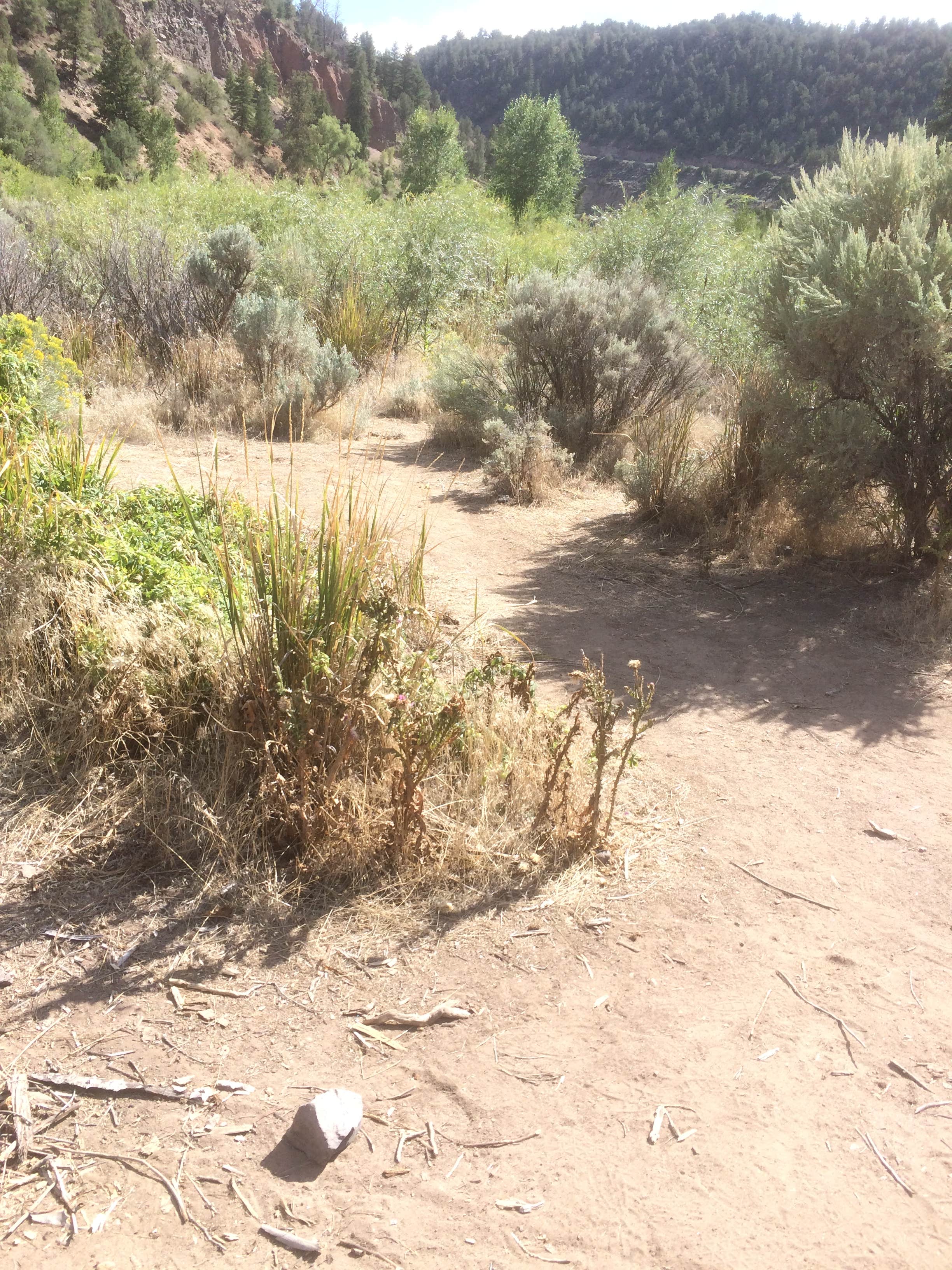 Camper-submitted photo at Upper Colorado Rec Area near New Castle, CO